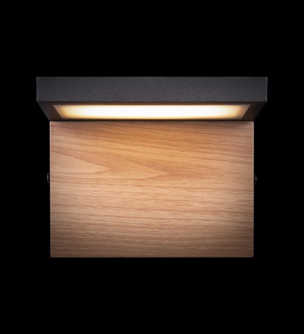Уличный настенный светильник LOFT IT Oak 100001W