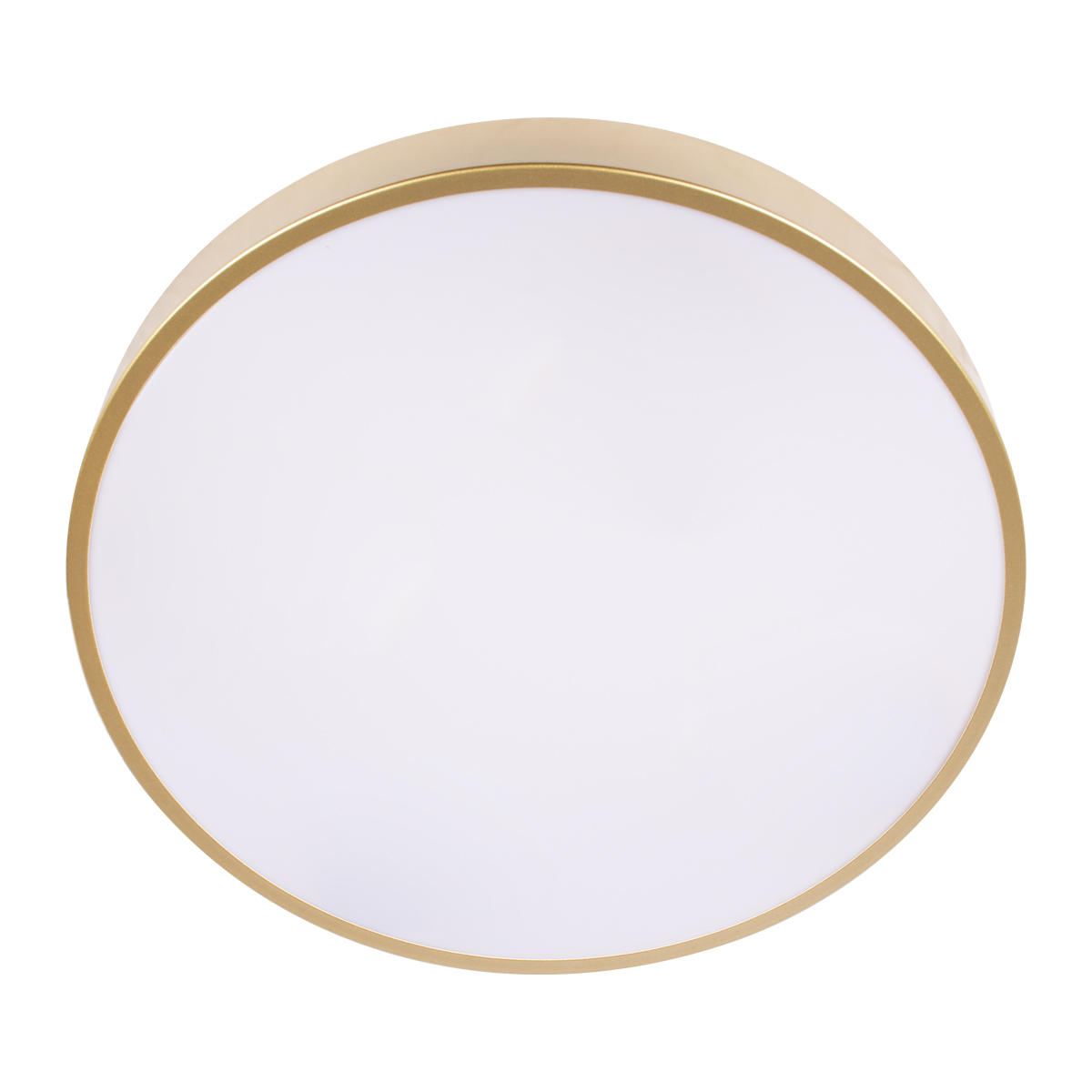 Потолочный светильник LOFT IT Flims 10228/A