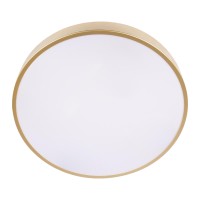 Потолочный светильник LOFT IT Flims 10228/A