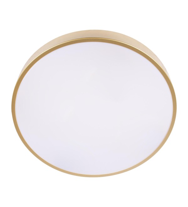 Потолочный светильник LOFT IT Flims 10228/A