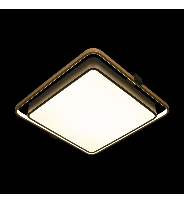 Потолочный светильник LOFT IT Mike 10172