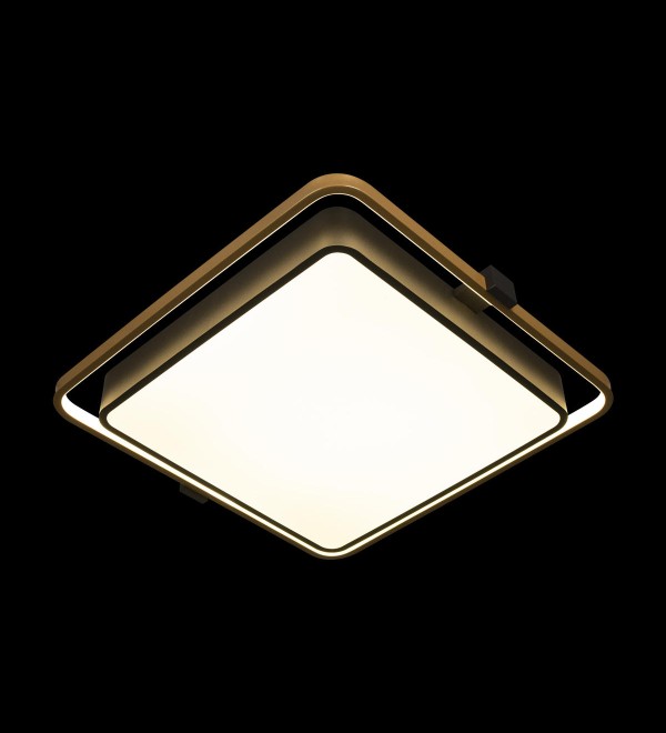 Потолочный светильник LOFT IT Mike 10172