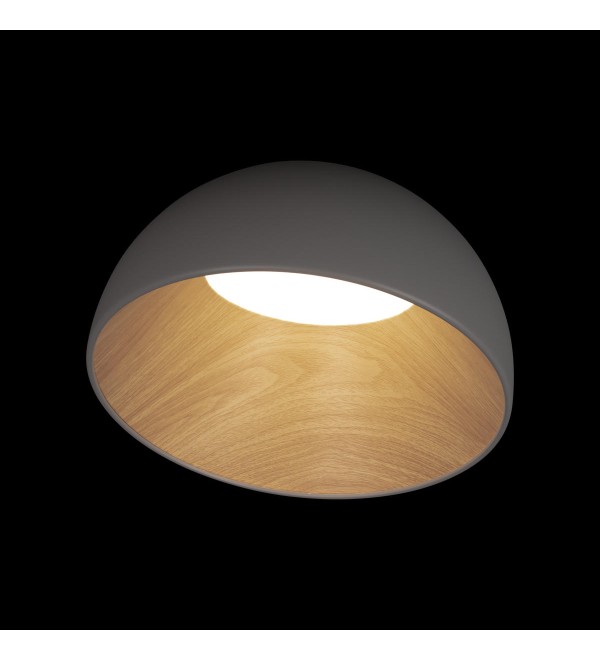 Потолочный светильник LOFT IT Egg 10197/350 Grey