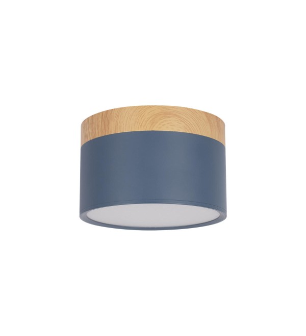 Накладной светильник LOFT IT Grape 10162 Blue