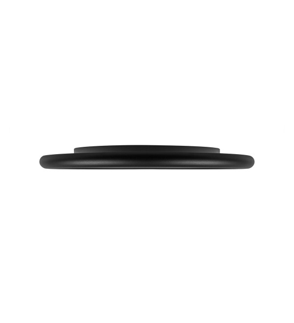 Потолочный светильник LOFT IT Sweety 10454/400 Black