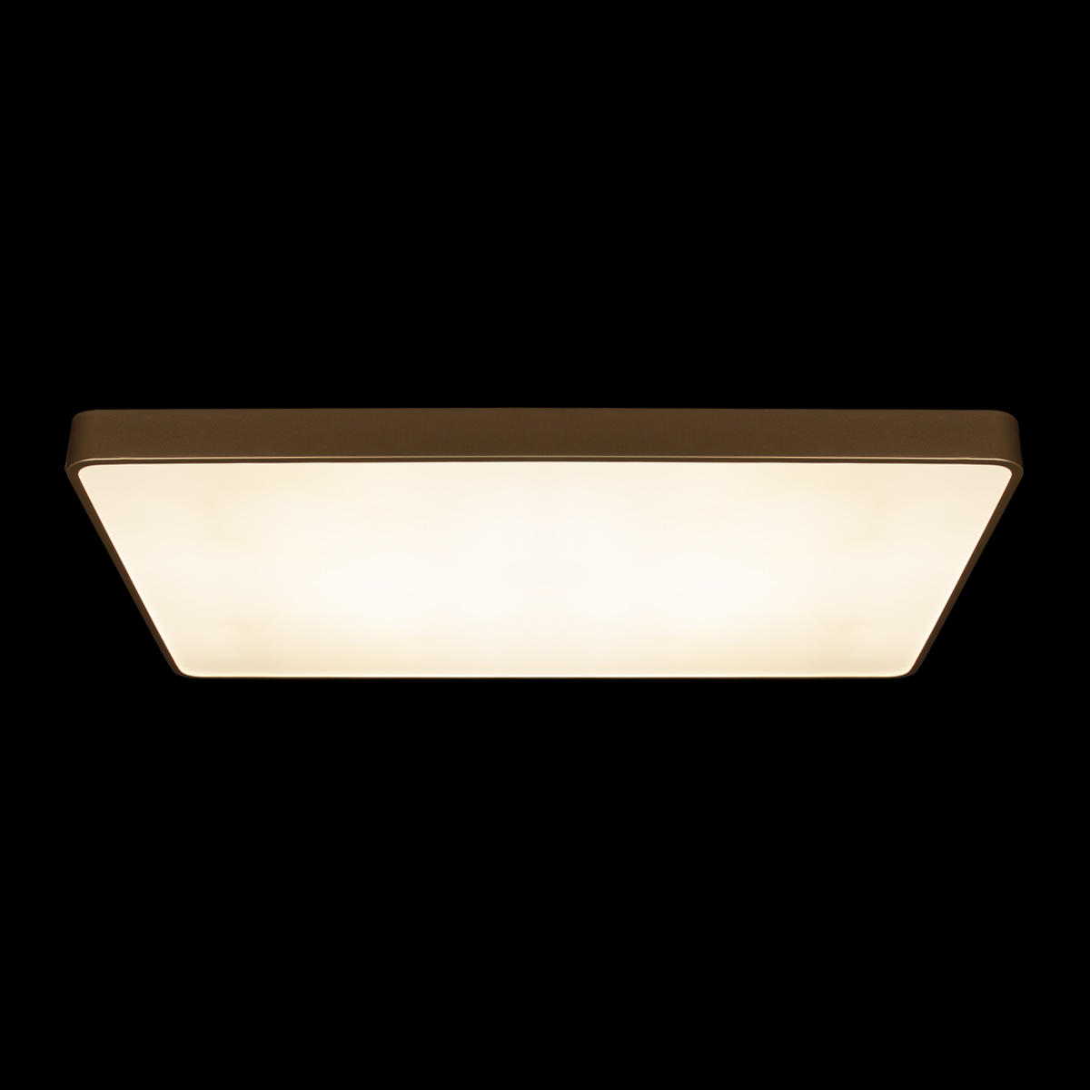 Потолочный светильник LOFT IT Flims 10228/E