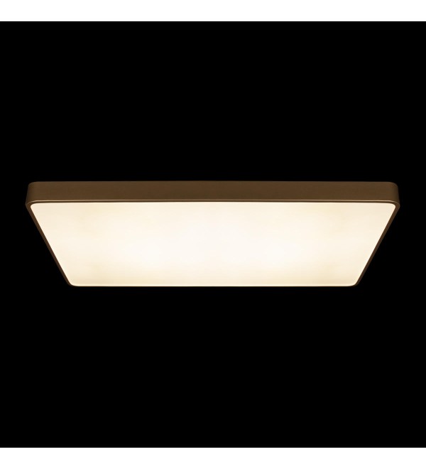 Потолочный светильник LOFT IT Flims 10228/E