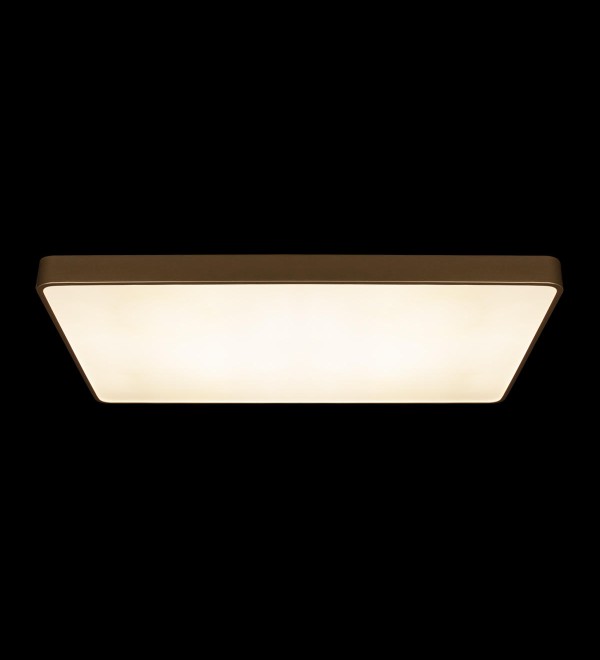 Потолочный светильник LOFT IT Flims 10228/E