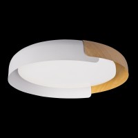 Потолочный светильник LOFT IT Coin 10198 White