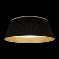 Потолочный светильник LOFT IT Evans 10224 Black