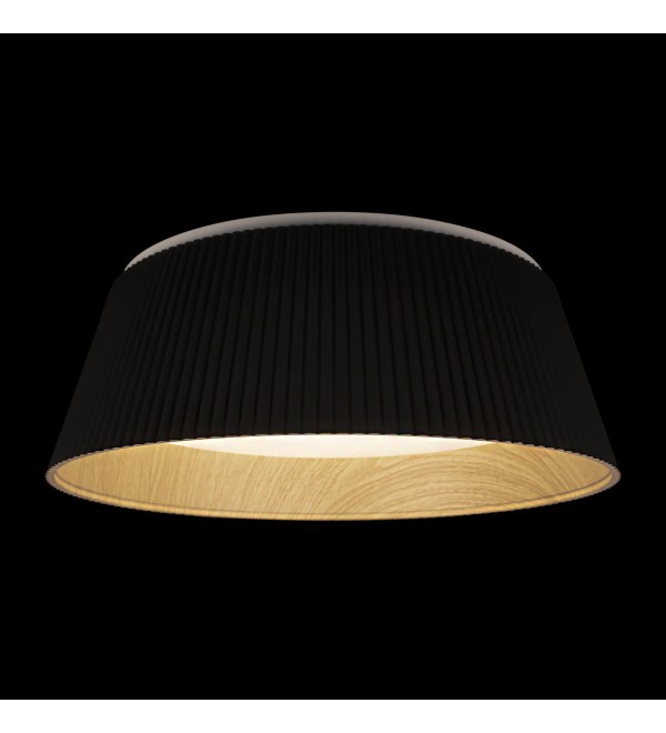 Потолочный светильник LOFT IT Evans 10224 Black