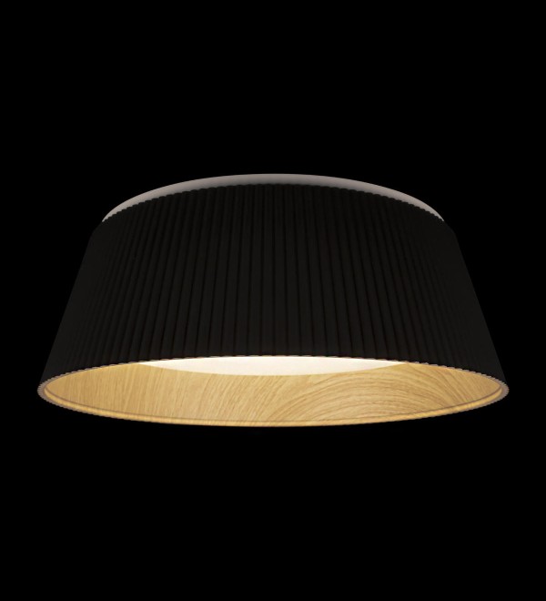 Потолочный светильник LOFT IT Evans 10224 Black