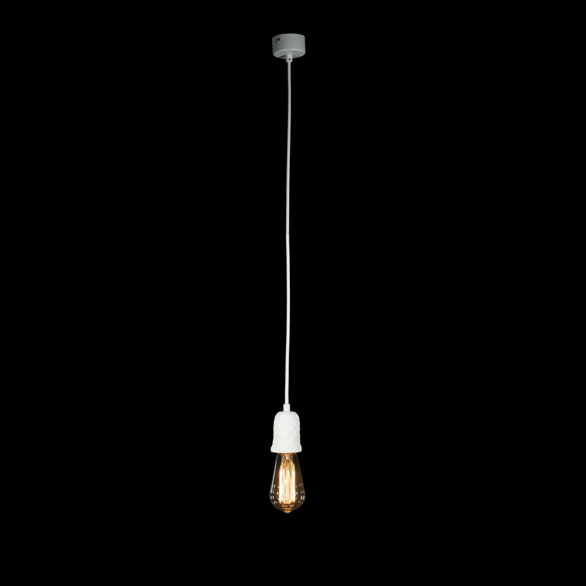 Подвесной светильник LOFT IT Sherwood 10091