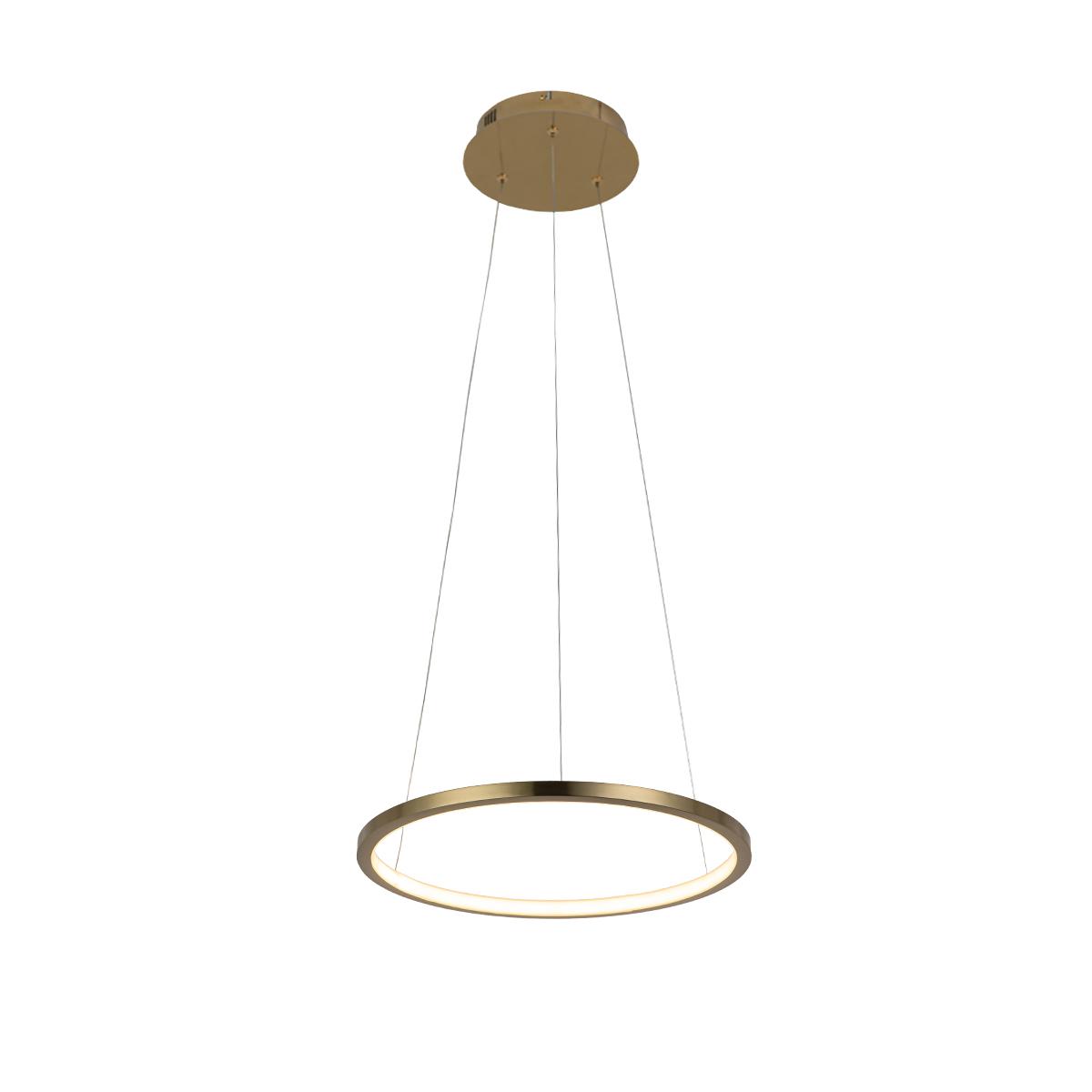Подвесной светильник LOFT IT Ring 10014S