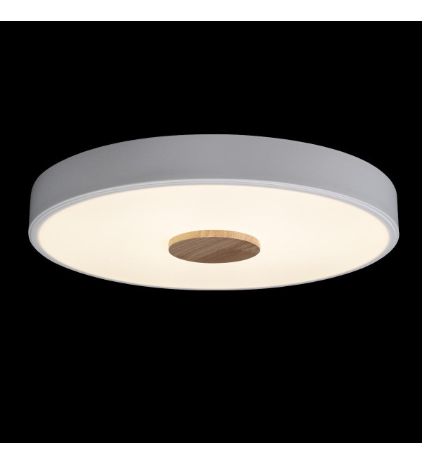 Потолочный светильник LOFT IT Axel 10003/24 White