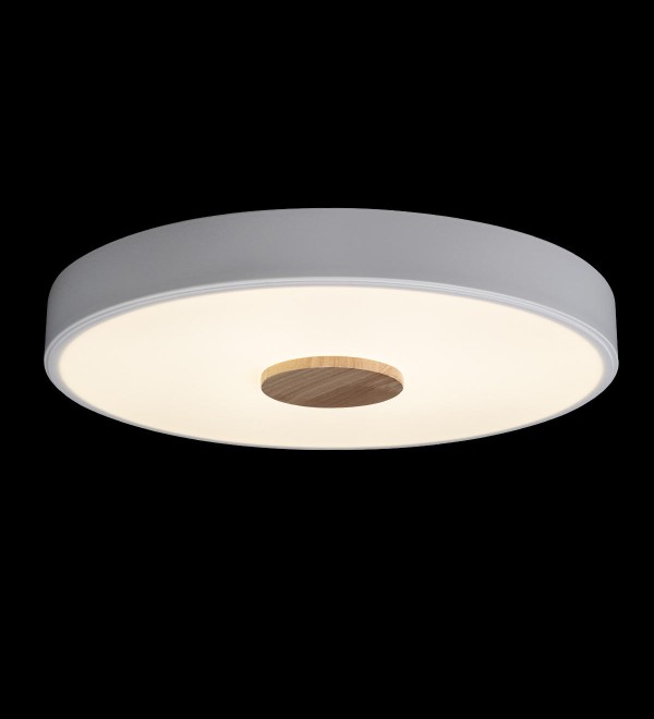 Потолочный светильник LOFT IT Axel 10003/24 White