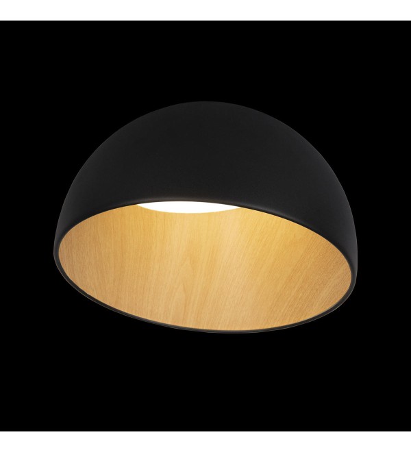 Потолочный светильник LOFT IT Egg 10197/350 Black