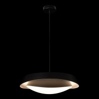 Подвесной светильник LOFT IT Petale 10256P Black