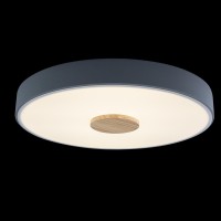 Потолочный светильник LOFT IT Axel 10003/24 Grey