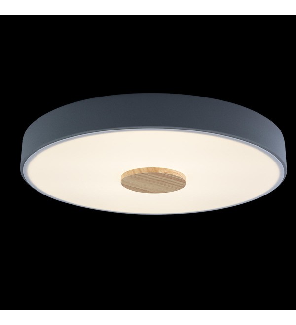 Потолочный светильник LOFT IT Axel 10003/24 Grey