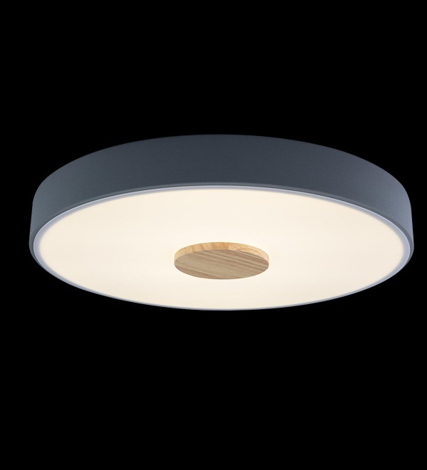 Потолочный светильник LOFT IT Axel 10003/24 Grey