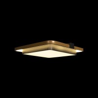 Потолочный светильник LOFT IT Mike 10171