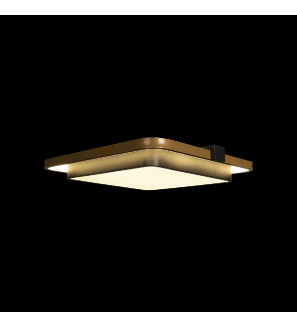 Потолочный светильник LOFT IT Mike 10171