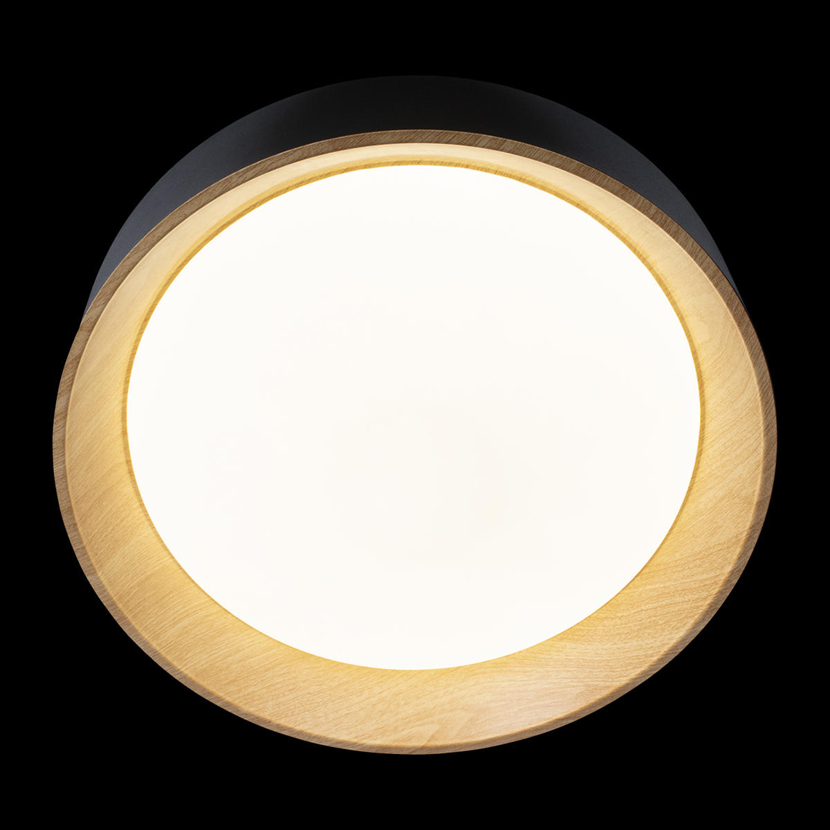 Потолочный светильник LOFT IT Coin 10202 Black