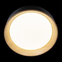 Потолочный светильник LOFT IT Coin 10202 Black