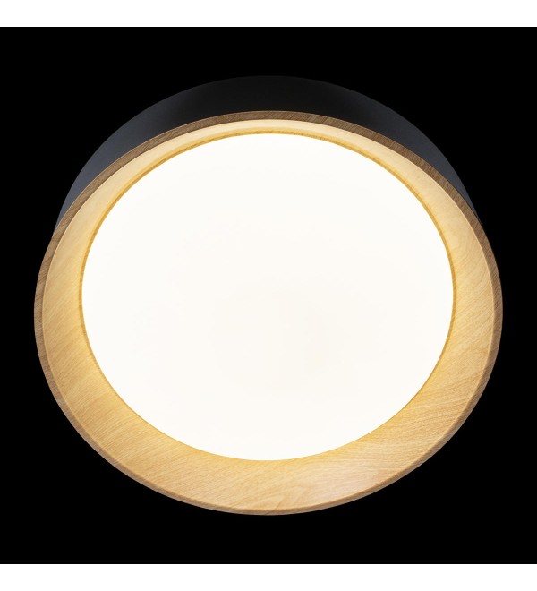 Потолочный светильник LOFT IT Coin 10202 Black