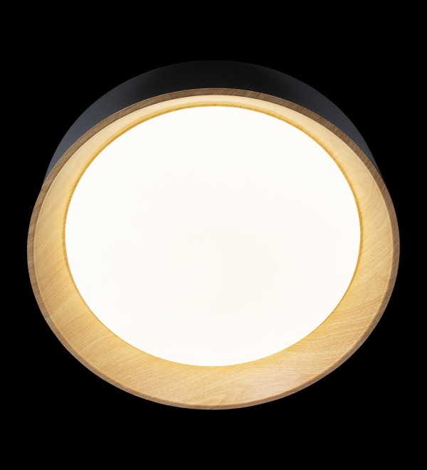 Потолочный светильник LOFT IT Coin 10202 Black