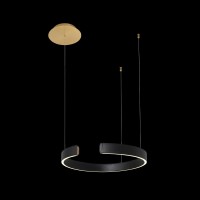 Подвесной светильник LOFT IT Ring 10025/400 Black