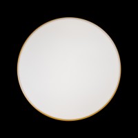 Потолочный светильник LOFT IT Axel 10001/36 Yellow