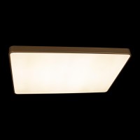 Потолочный светильник LOFT IT Flims 10228/E