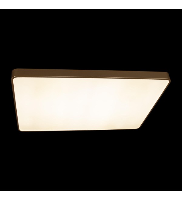 Потолочный светильник LOFT IT Flims 10228/E