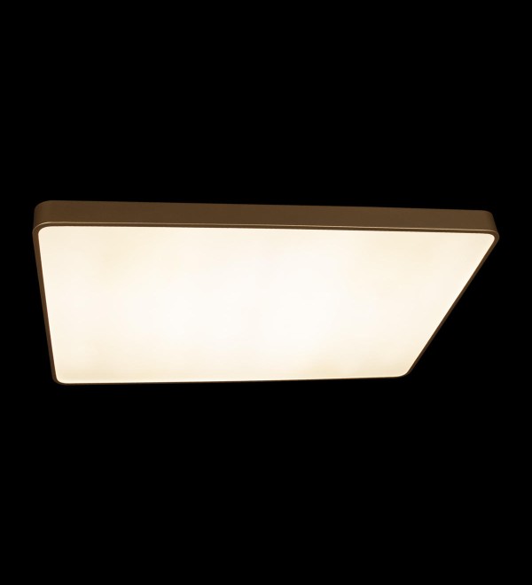 Потолочный светильник LOFT IT Flims 10228/E