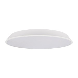 Потолочный светильник LOFT IT Brim 10226 White