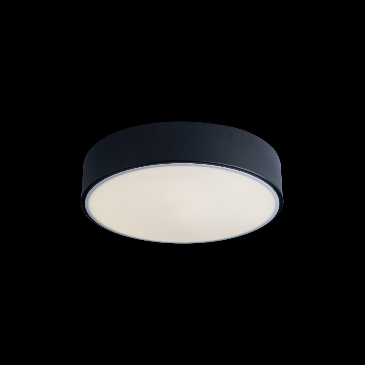 Потолочный светильник LOFT IT Axel 10002/12 Black