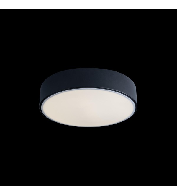 Потолочный светильник LOFT IT Axel 10002/12 Black