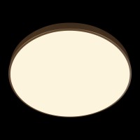 Потолочный светильник LOFT IT Flims 10228/B