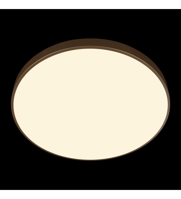 Потолочный светильник LOFT IT Flims 10228/B