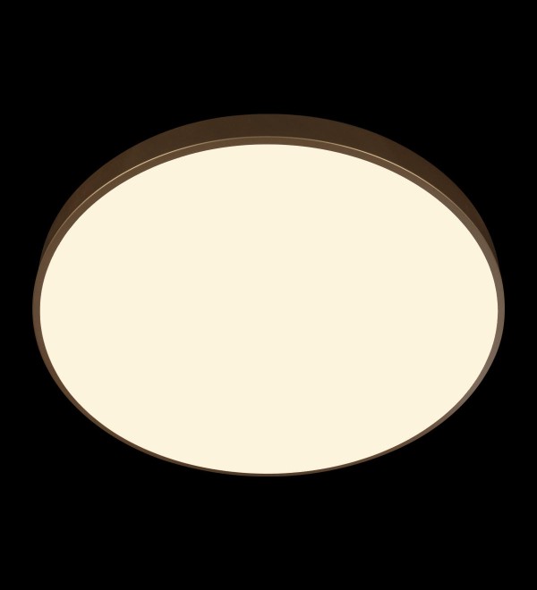Потолочный светильник LOFT IT Flims 10228/B