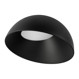 Потолочный светильник LOFT IT Egg 10197/500 BB