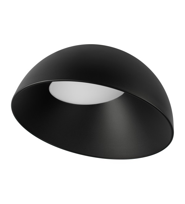 Потолочный светильник LOFT IT Egg 10197/500 BB