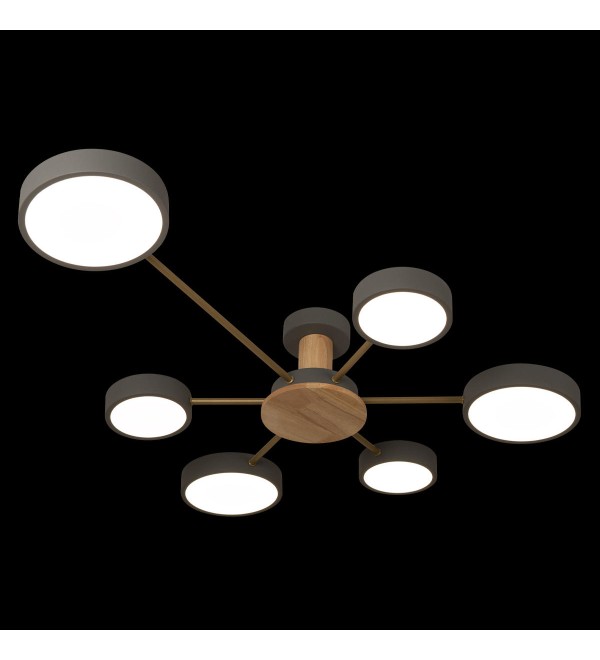 Потолочный светильник LOFT IT Sunrise 10316/6 Grey