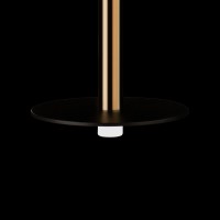 Подвесной светильник LOFT IT Reed 10358/830 Disk AB