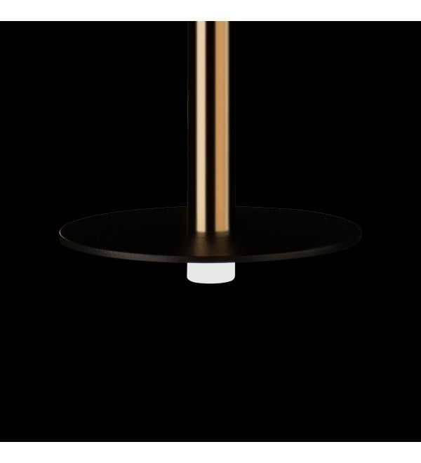 Подвесной светильник LOFT IT Reed 10358/830 Disk AB