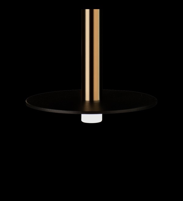 Подвесной светильник LOFT IT Reed 10358/830 Disk AB