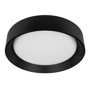 Потолочный светильник LOFT IT Coin 10202 BB