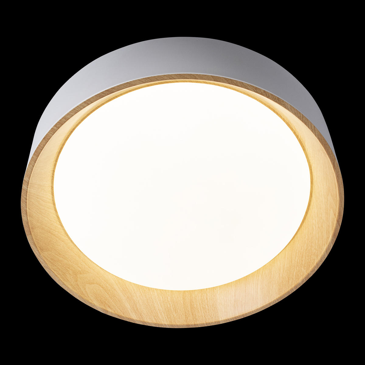 Потолочный светильник LOFT IT Coin 10202 White